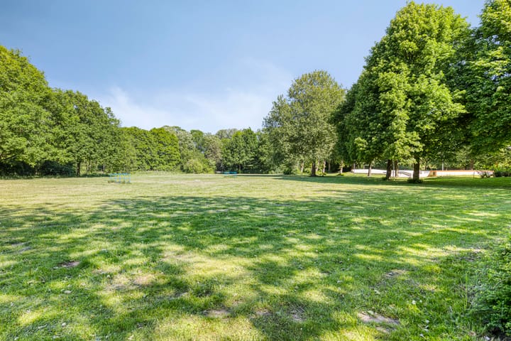 Foto 34 van Jan Tooroplaan 175