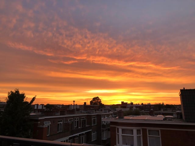 Foto 9 van Pippelingstraat 42-A