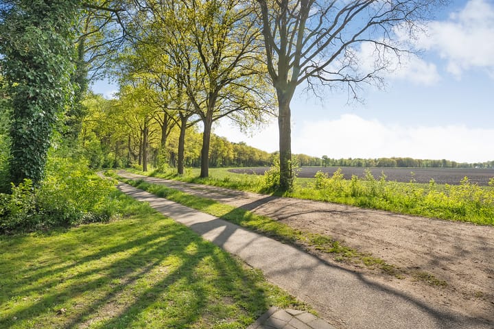 Foto 6 van De Oostermaat 3