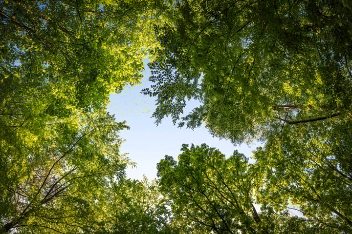 Foto 59 van Schuurmansweg 4-A