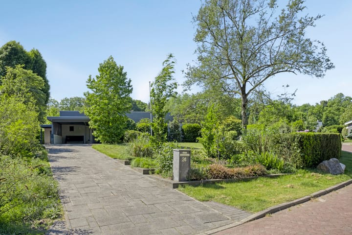 Foto 8 van Molenbelt 24