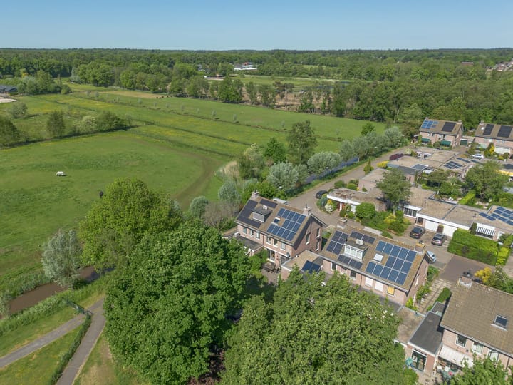 Foto 1 van Honingbij 21