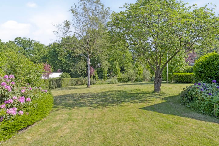 Foto 64 van Molenbelt 24