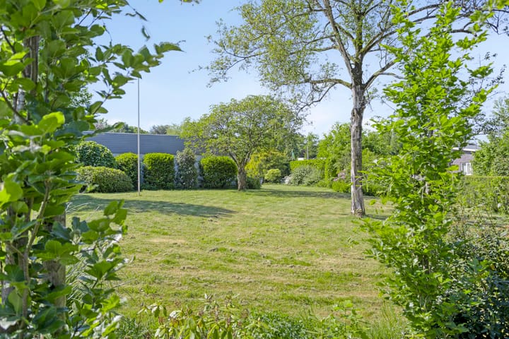 Foto 65 van Molenbelt 24