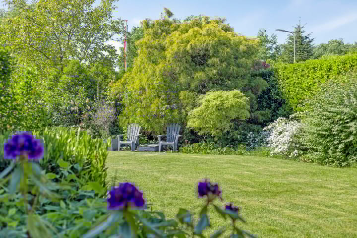 Foto 68 van Molenbelt 24