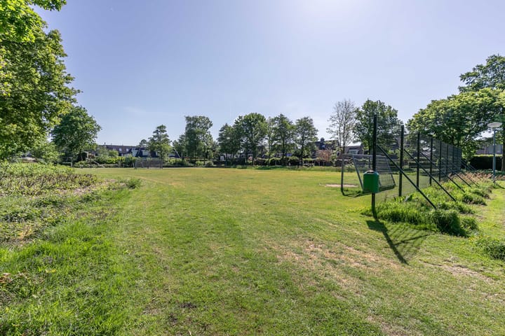 Foto 49 van Honingbij 21