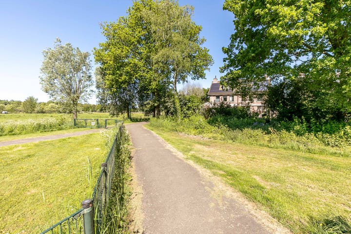 Foto 50 van Honingbij 21