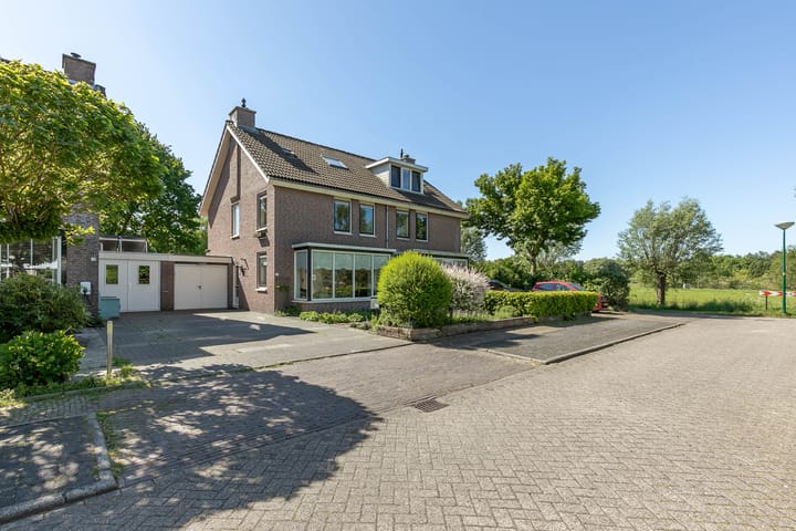 Foto 52 van Honingbij 21