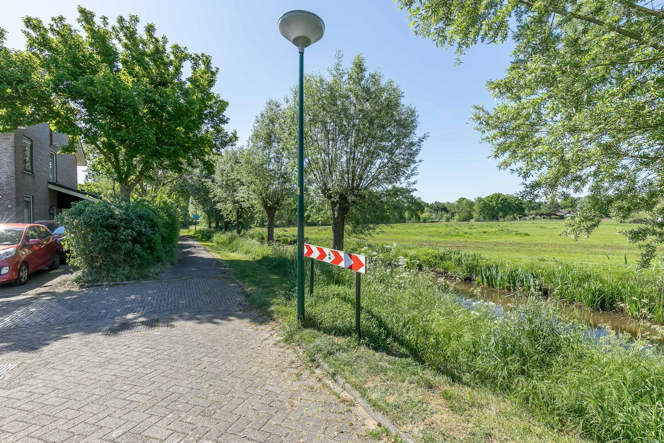 Photo 54 of Honingbij 21