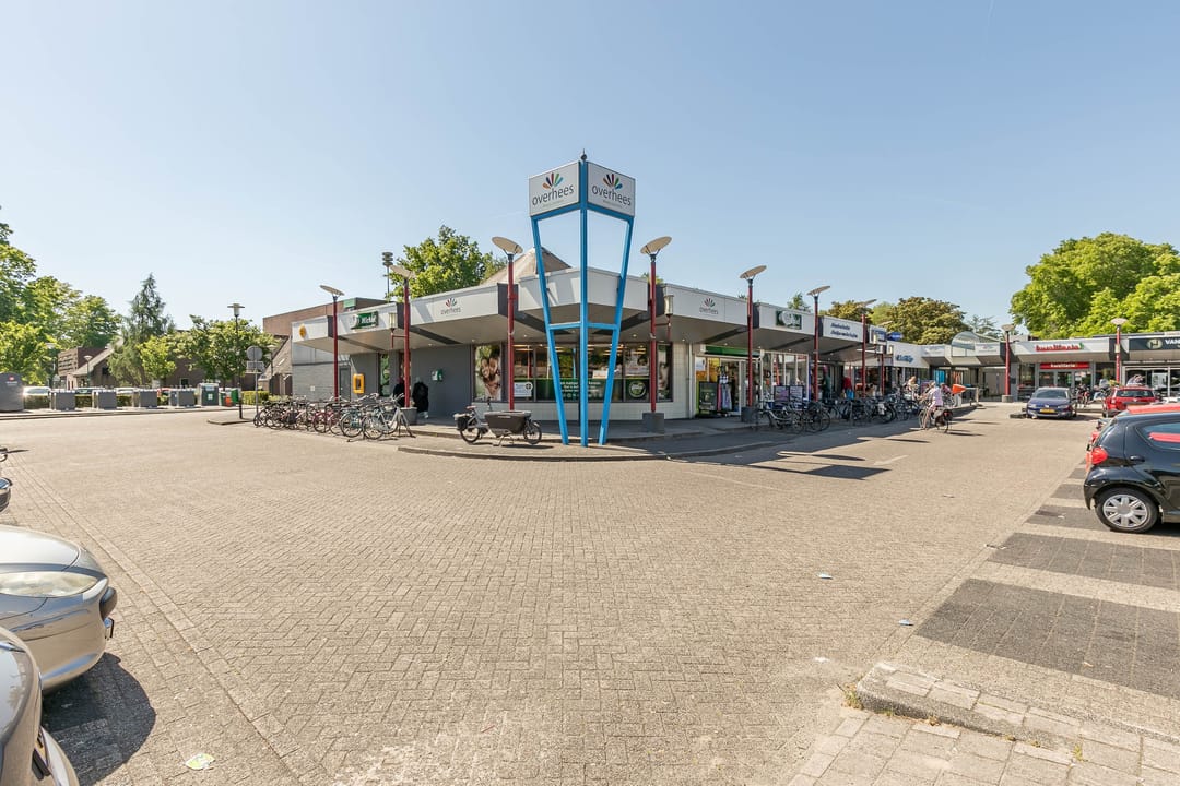 Photo 56 of Honingbij 21
