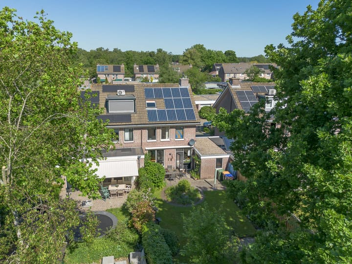 Foto 58 van Honingbij 21