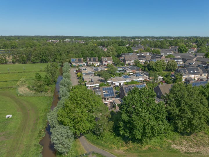 Foto 59 van Honingbij 21