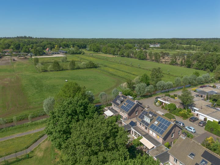 Foto 60 van Honingbij 21