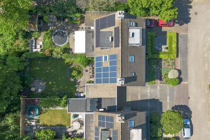 Foto 61 van Honingbij 21