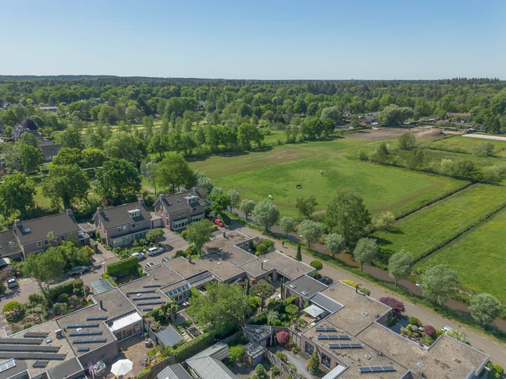 Foto 64 van Honingbij 21