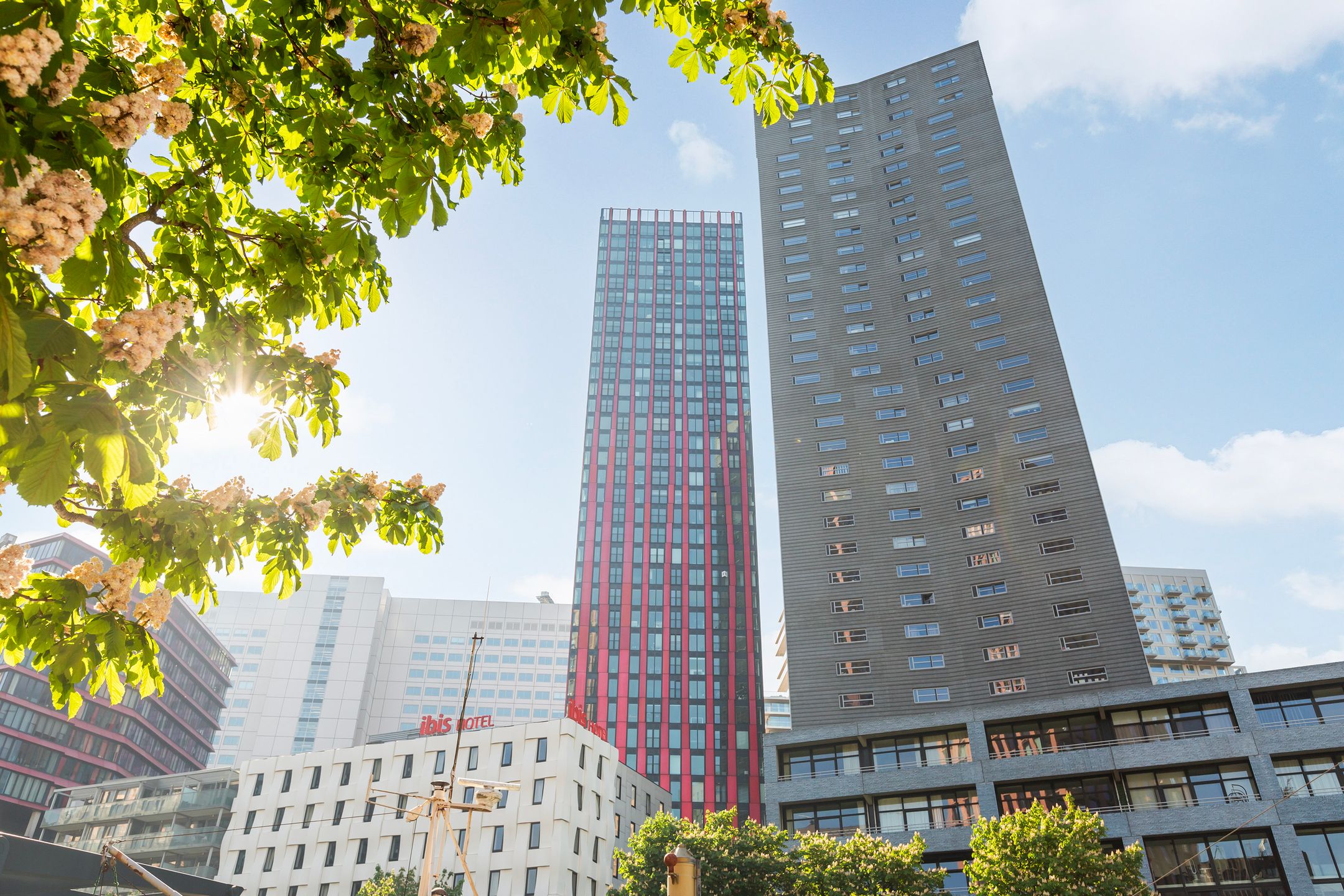 Foto 12 van Wijnbrugstraat 54