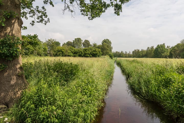 Foto 40 van Vonderstraat 14