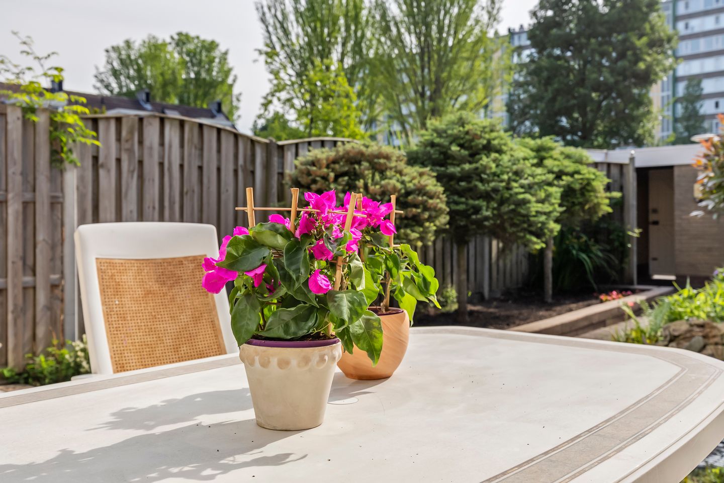 Foto 14 van Schimmelpennincklaan 16