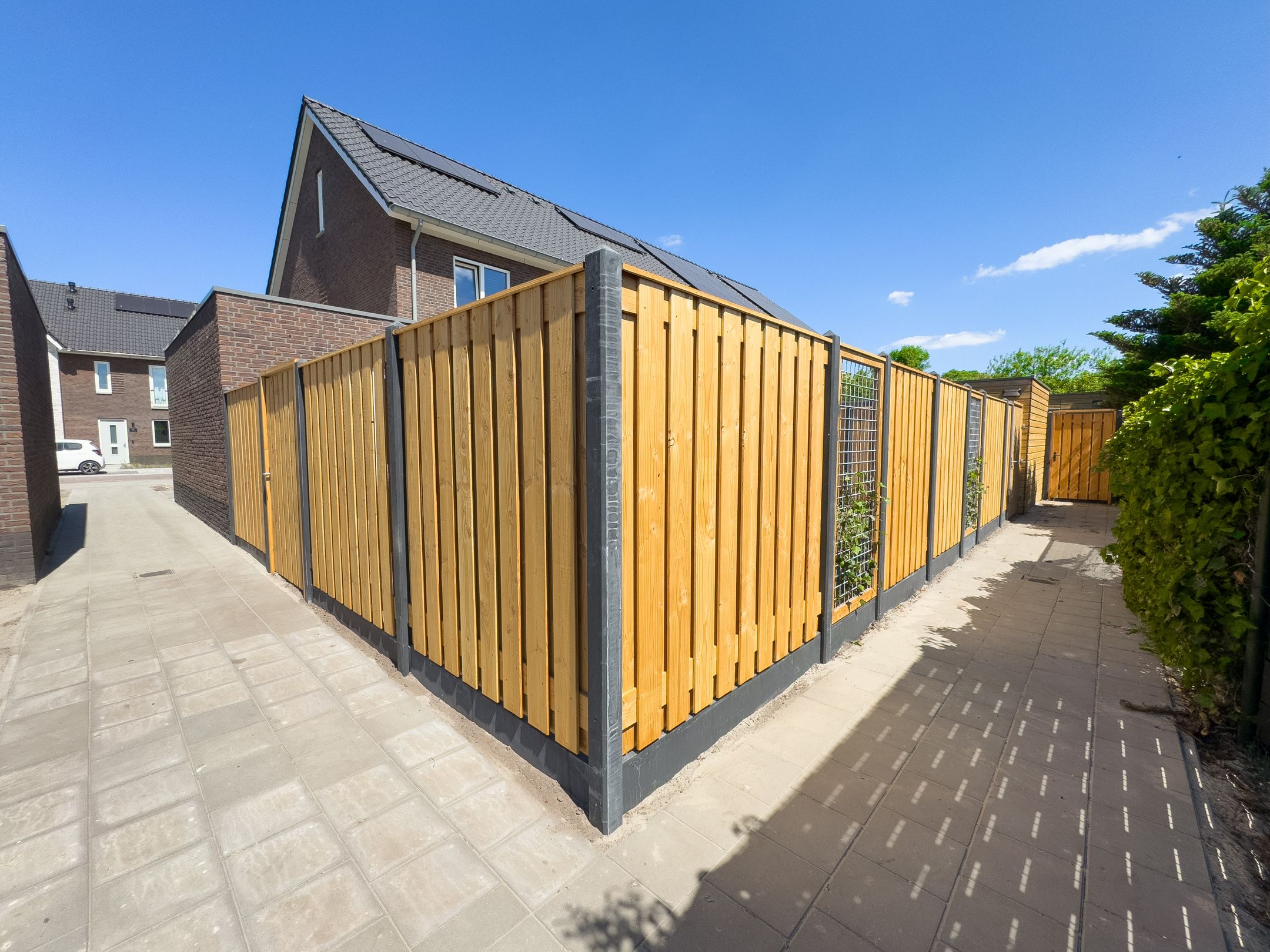 Photo 33 of de Berg 18