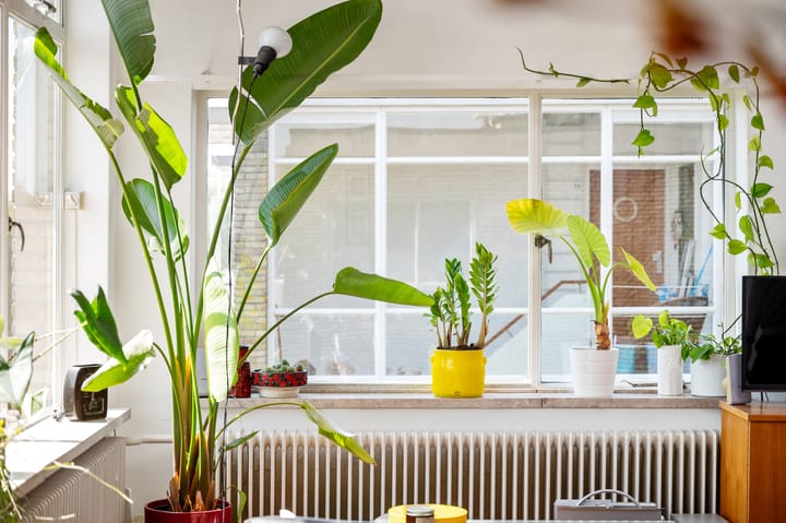 Foto 17 van Louise de Colignylaan 65