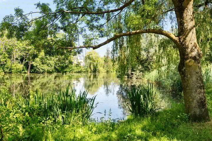 Foto 27 van Louise de Colignylaan 65