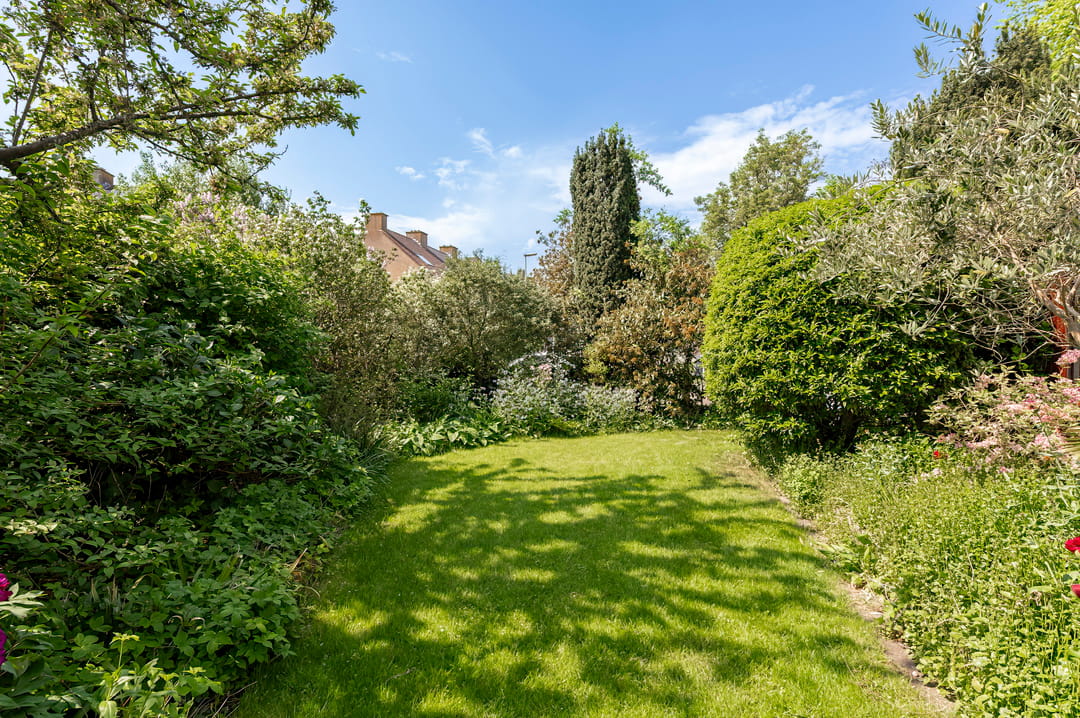 Foto 2 van Olmenstraat 15