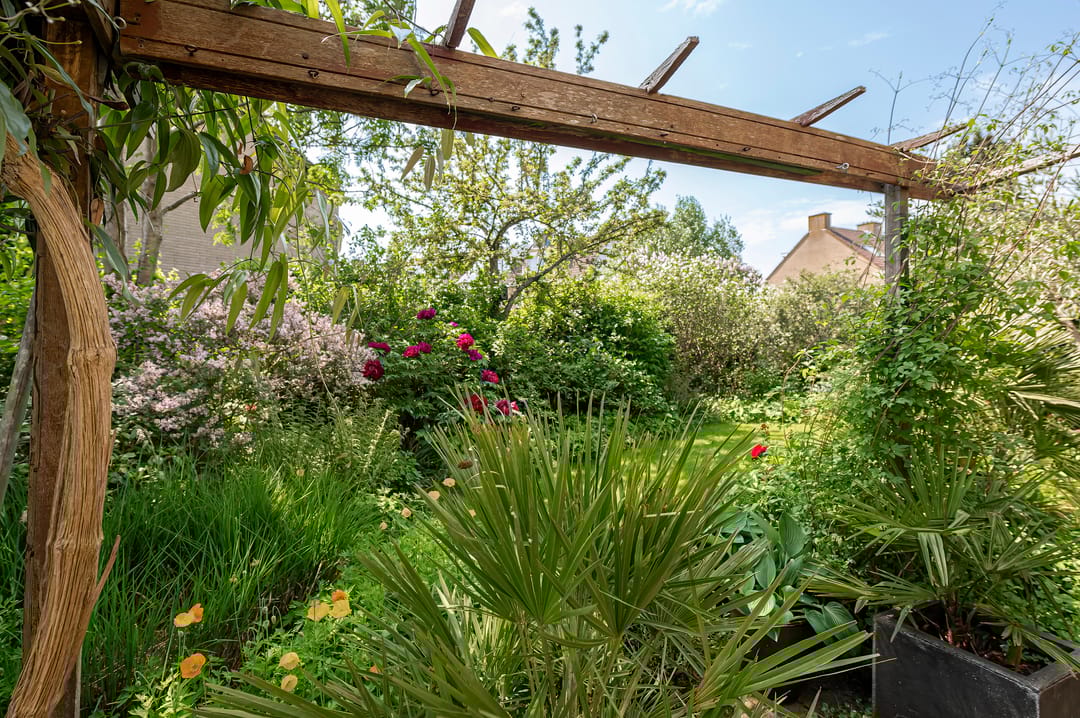 Foto 26 van Olmenstraat 15