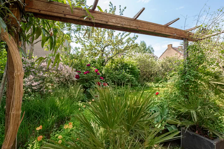 Foto 26 van Olmenstraat 15