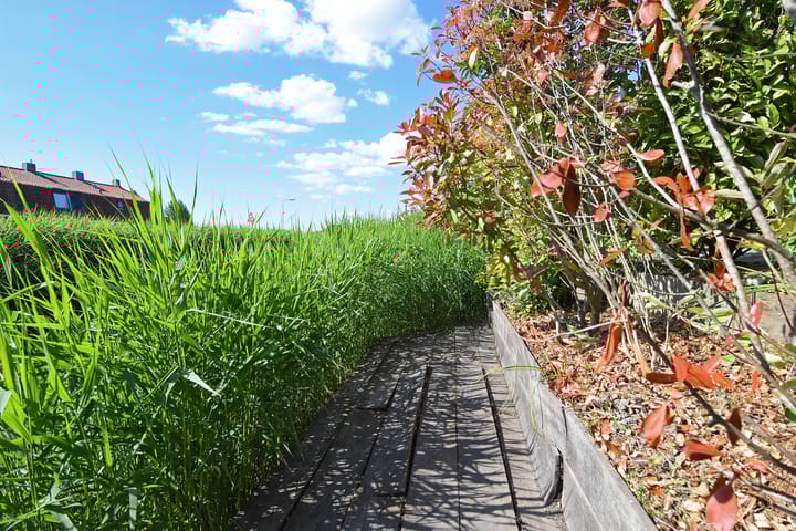 Foto 59 van Meikeverstraat 18