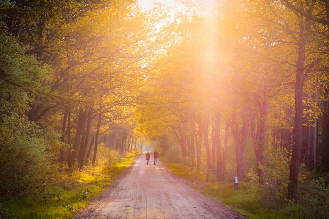 Foto 7 van Nijverheidsweg 36