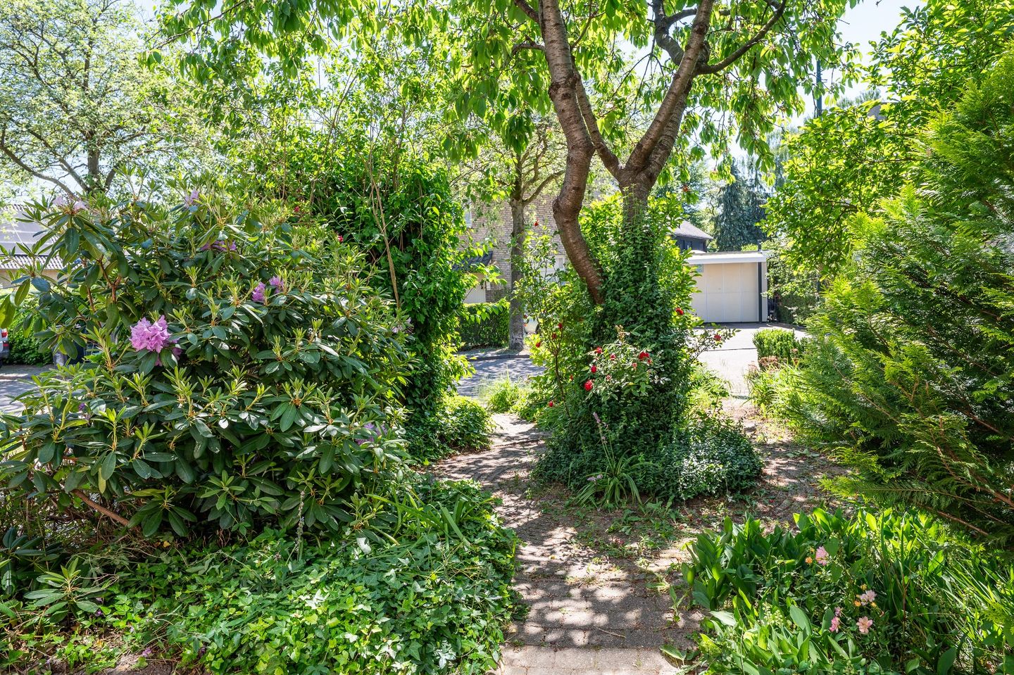 Foto 44 van Zagerstraat 41