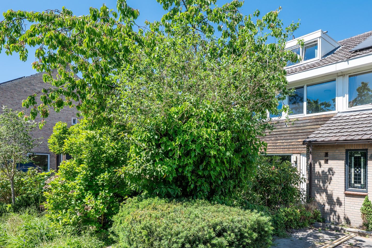 Foto 40 van Zagerstraat 41