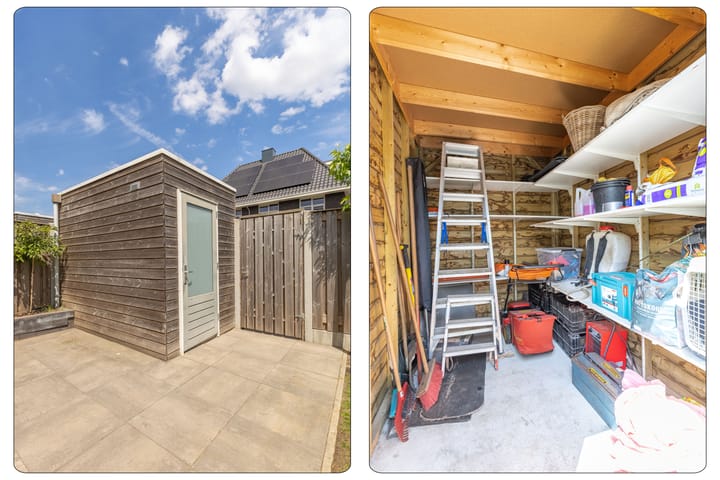 Foto 38 van Zaaier 2