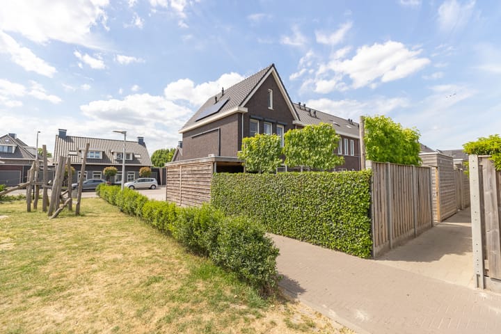 Foto 39 van Zaaier 2