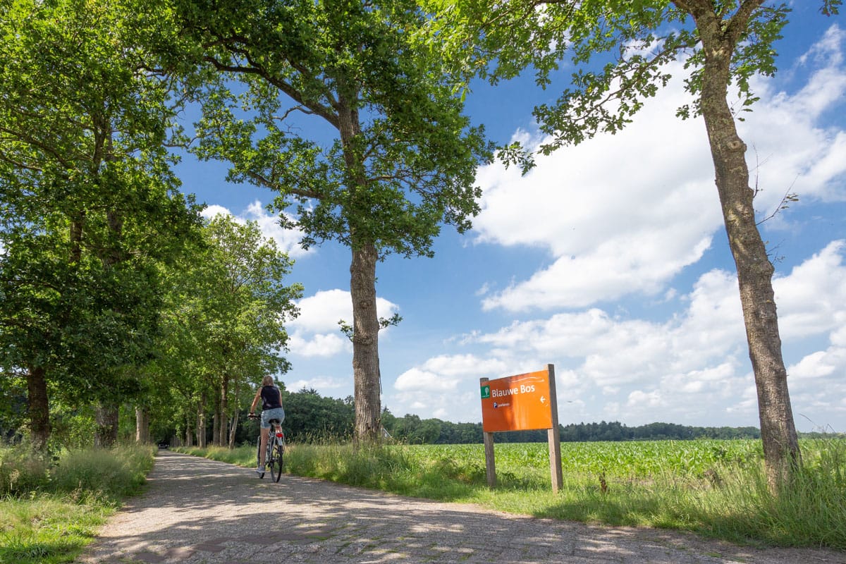 Foto 6 van Nijverheidsweg 16