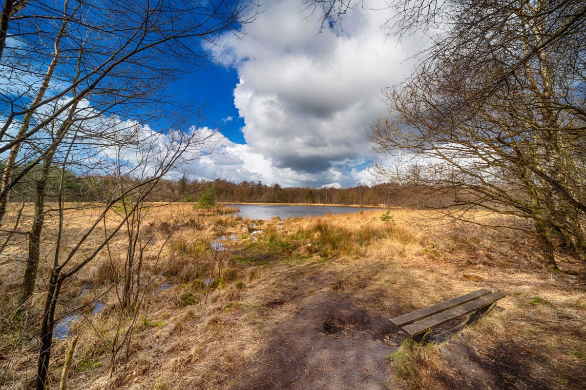 Foto 9 van Nijverheidsweg 16