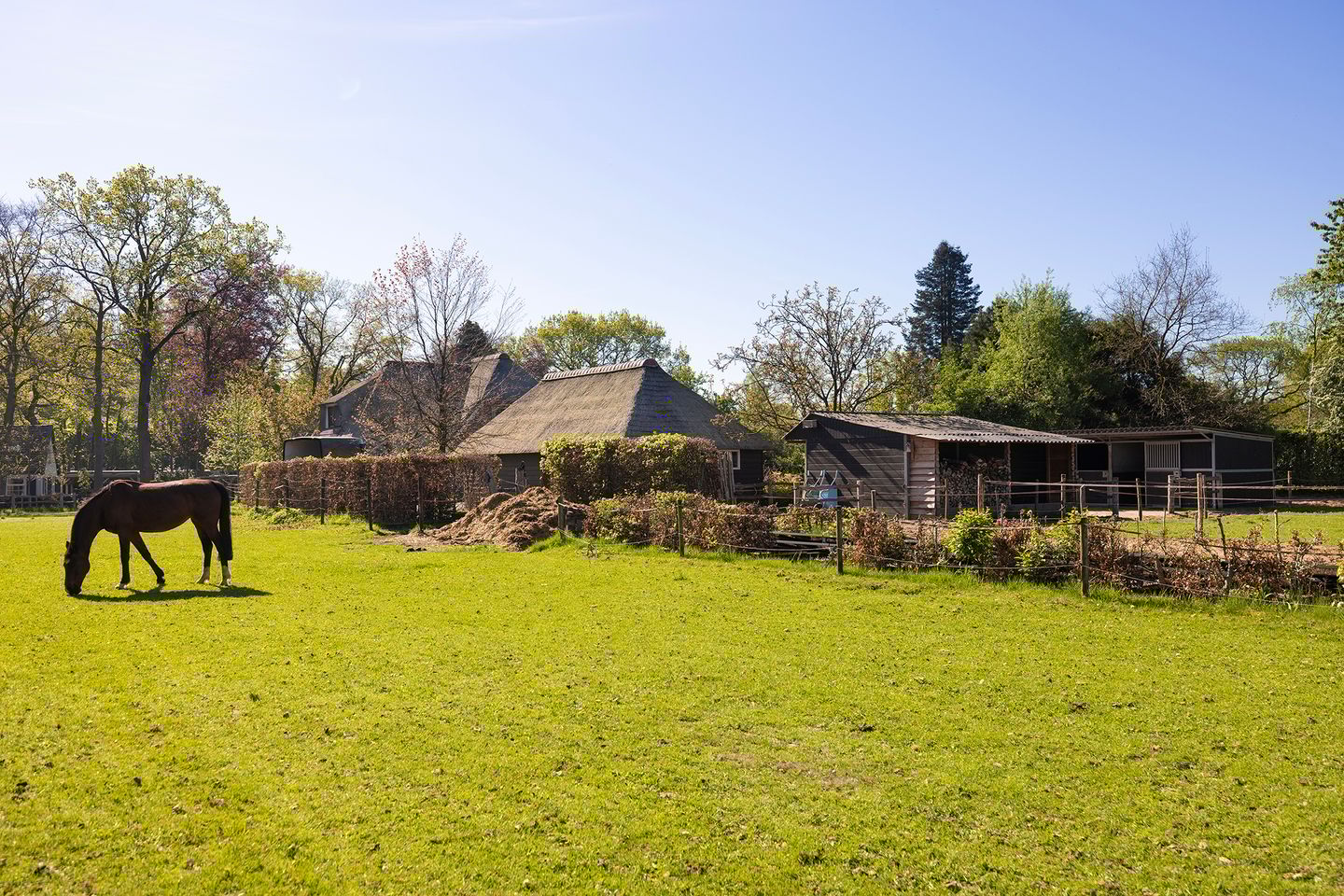 Foto 4 van Duisterestraat 10