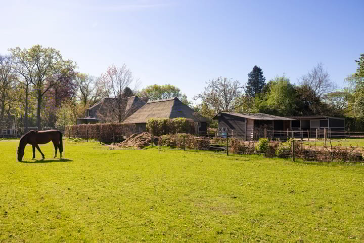 Foto 4 van Duisterestraat 10