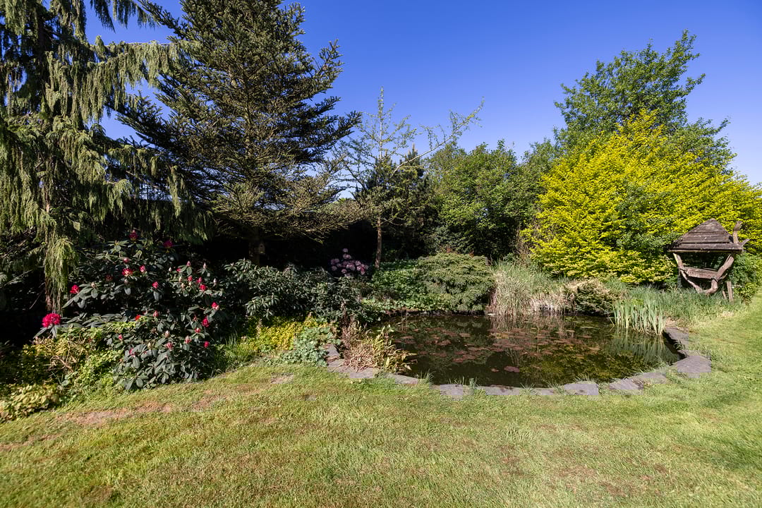 Foto 47 van Duisterestraat 10