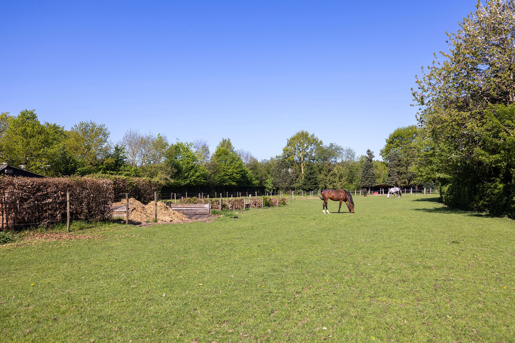 Foto 63 van Duisterestraat 10