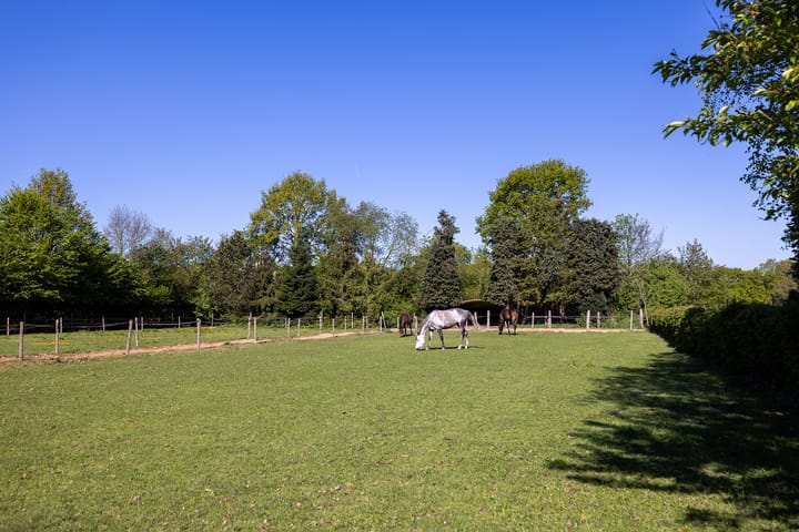 Foto 65 van Duisterestraat 10