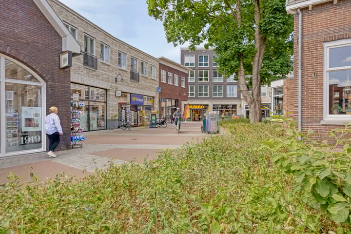 Foto 47 van Burg. Nieuwenhuijzenstraat 29