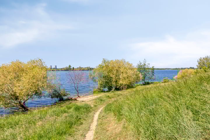 Photo 43 of Broenskuil 18