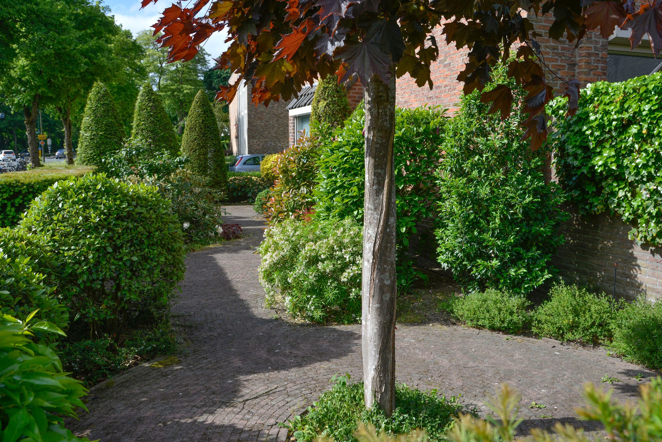 Foto 15 van Jacob van Wassenaerstraat 2