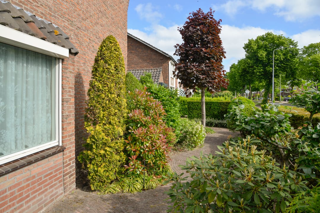 Foto 17 van Jacob van Wassenaerstraat 2