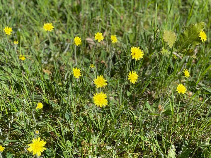 Foto 31 van Oude Hammerweg 11-A