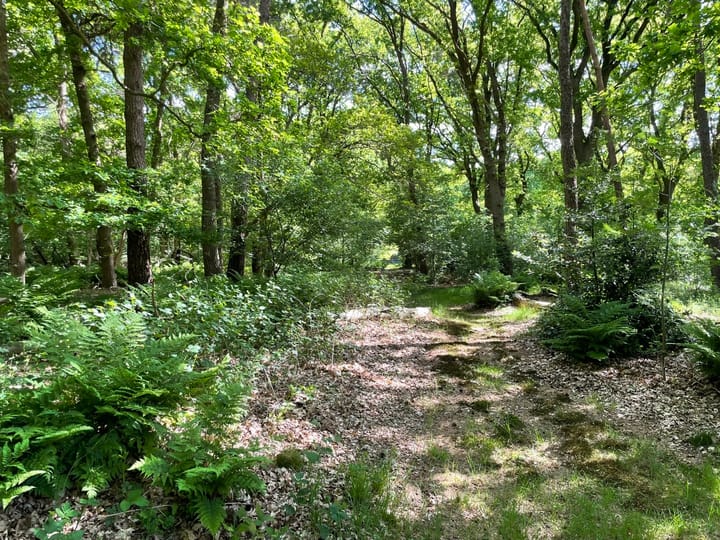 Foto 33 van Oude Hammerweg 11-A