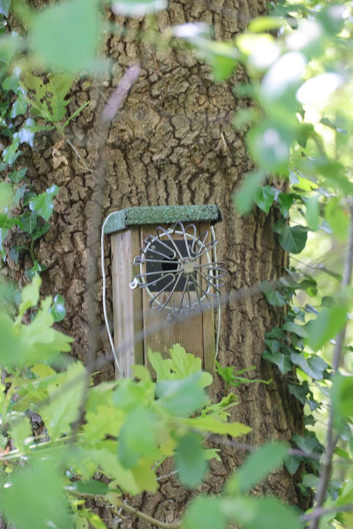 Foto 34 van Oude Hammerweg 11-A