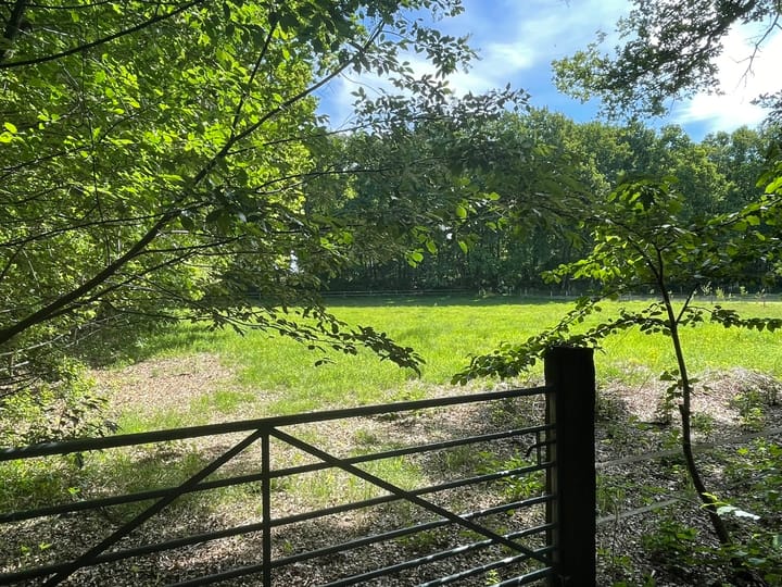 Foto 36 van Oude Hammerweg 11-A