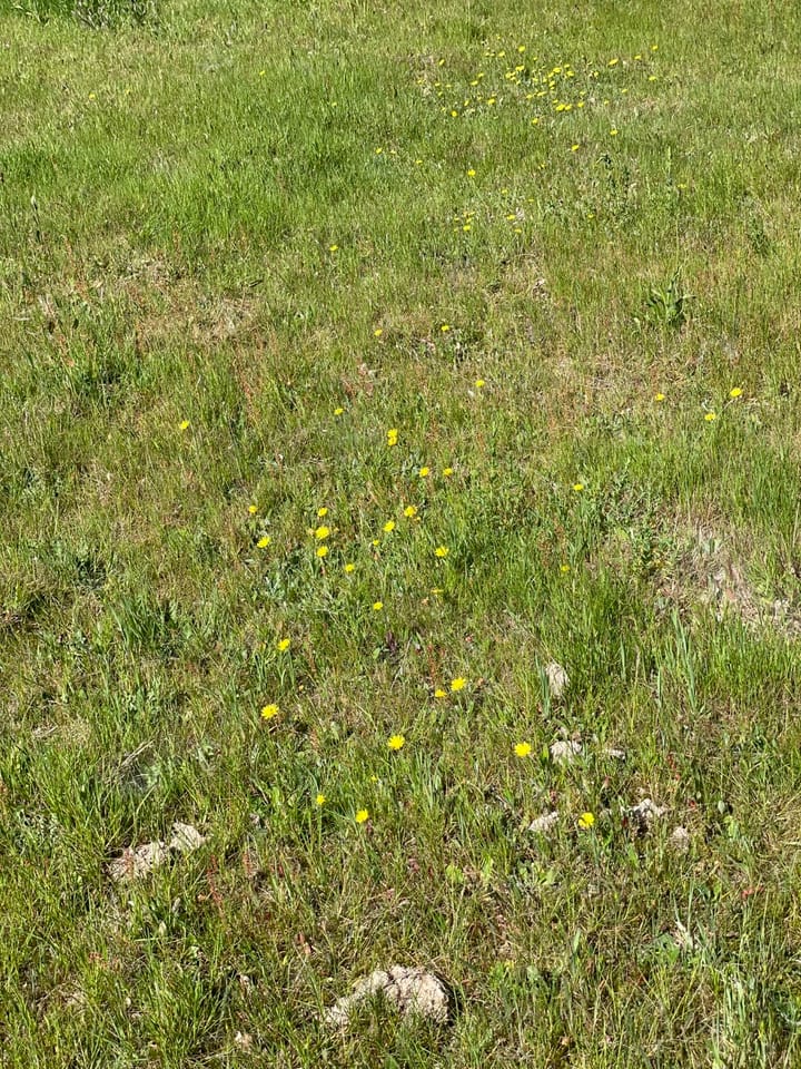 Foto 43 van Oude Hammerweg 11-A